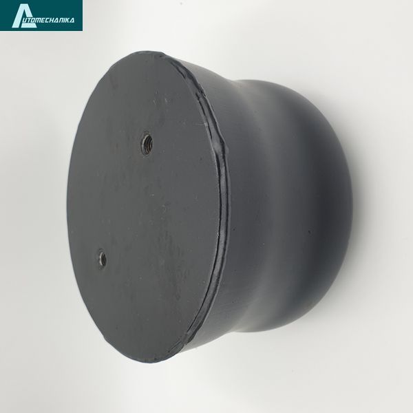 Air Spring Piston Bogdan